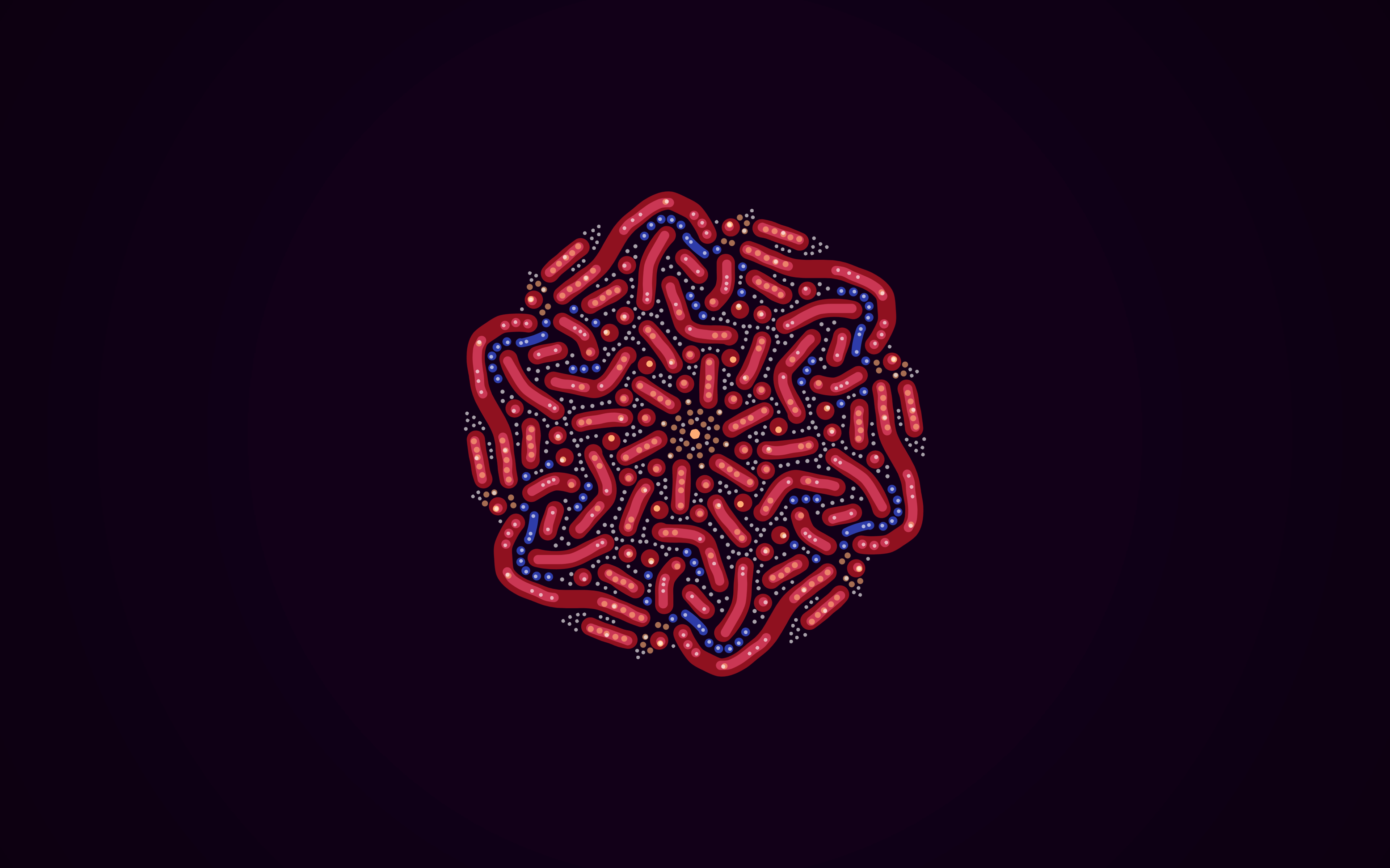symmetric drawing made on myoats.com