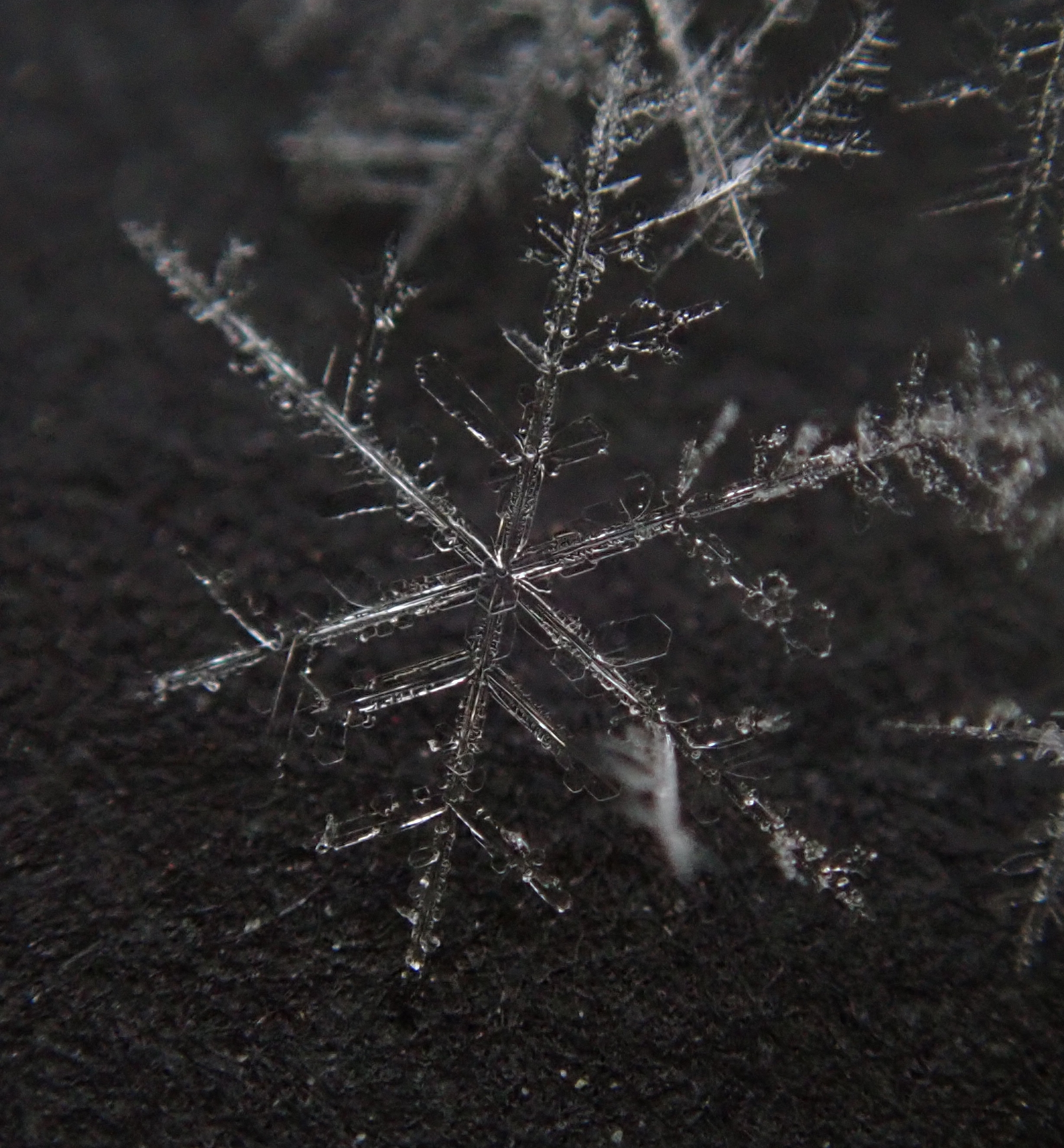 spindly, elegant snowflake with thin arms