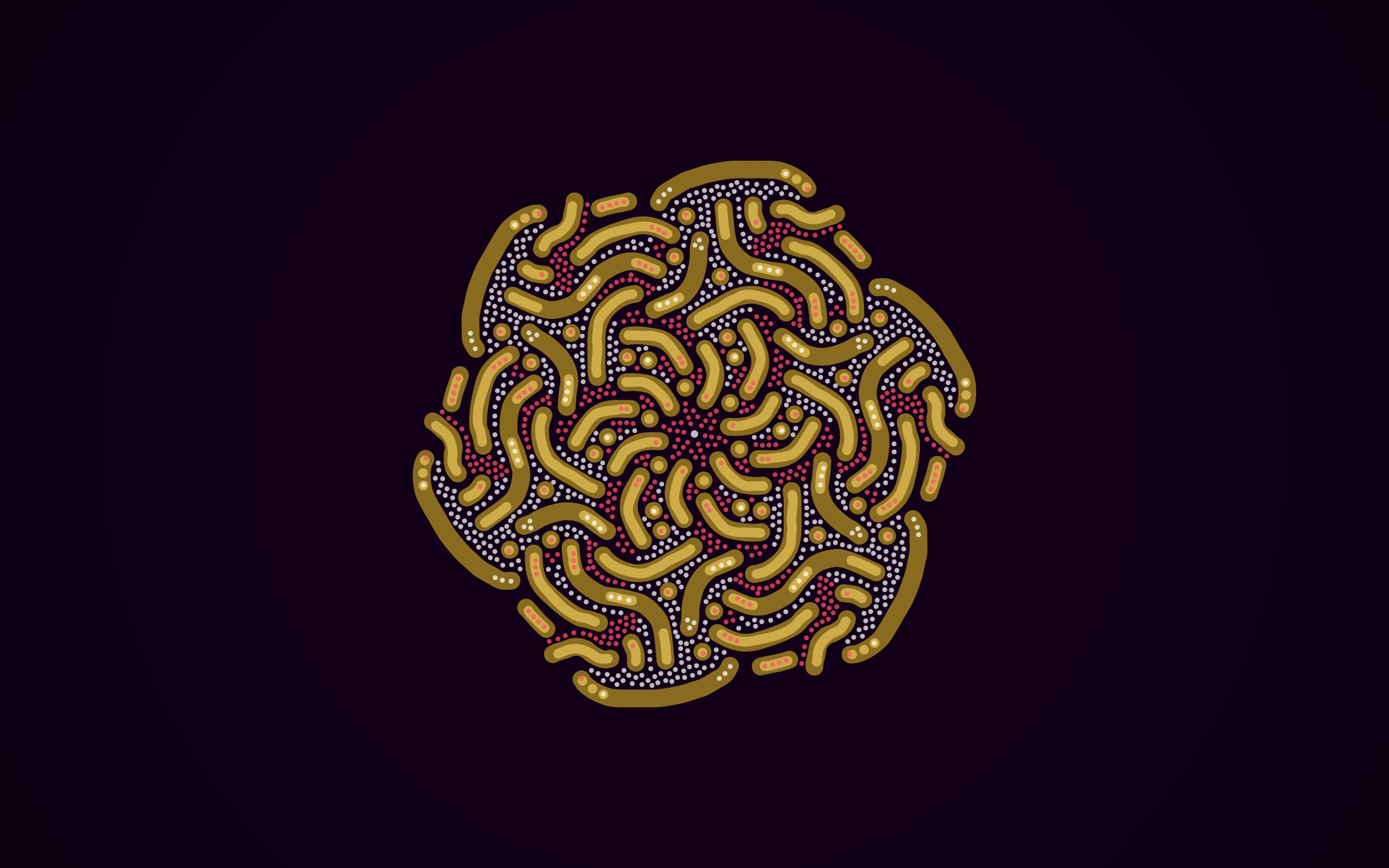 symmetric drawing made on myoats.com