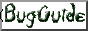 My BugGuide page