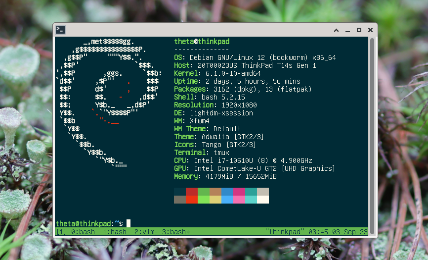A screenshot of neofetch with this terminal colorscheme.