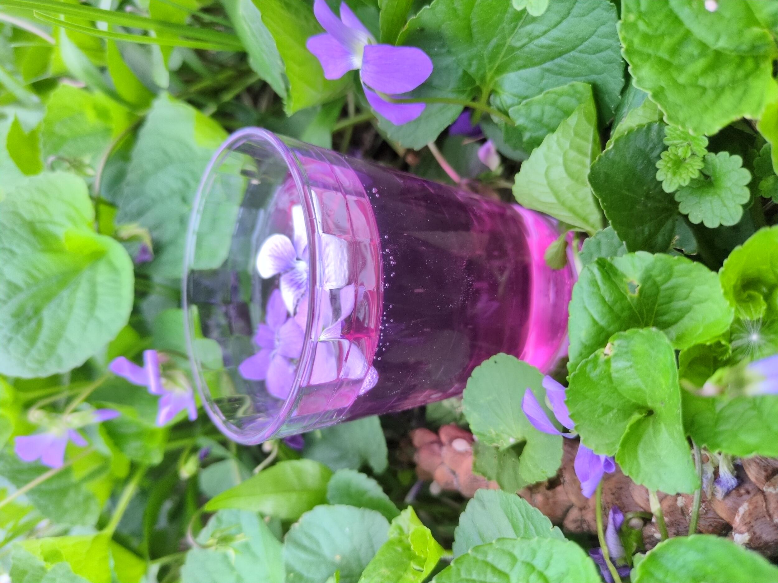 Violet-colored gin and tonic drink, staged with violet flowers, side view